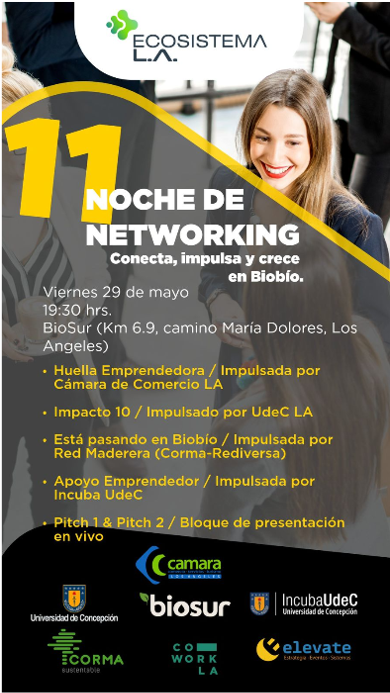 11era Noche de Netyworking